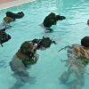 Force Recon Course 2015_033